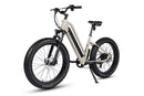 Dirwin 750W Pioneer Lite Hunting Electric Bike