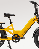 Troxus 750W Lynx Cargo Electric Bike