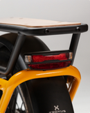 Troxus 750W Lynx Cargo Electric Bike