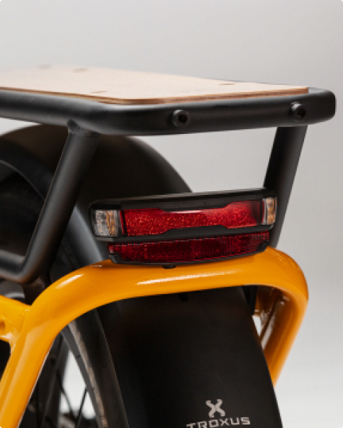 Troxus 750W Lynx Cargo Electric Bike