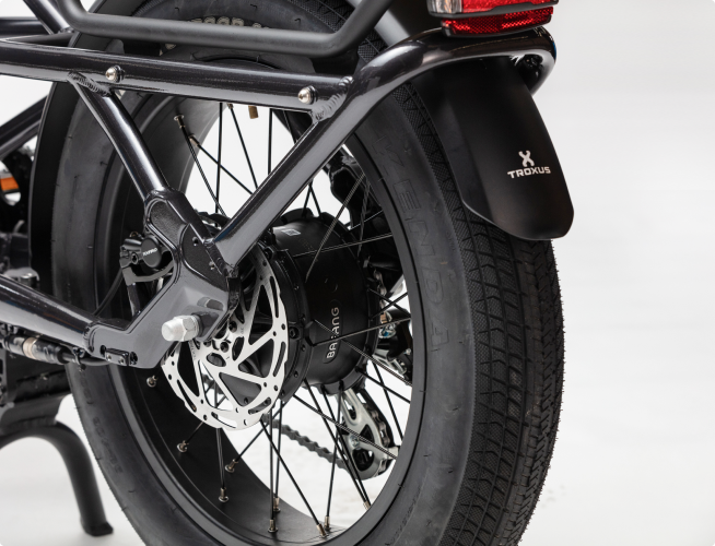 Troxus 750W Lynx Cargo Electric Bike