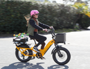 Troxus 750W Lynx Cargo Electric Bike