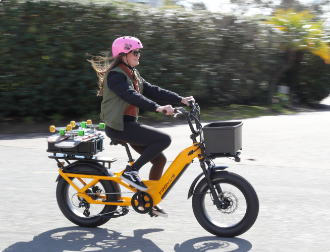 Troxus 750W Lynx Cargo Electric Bike