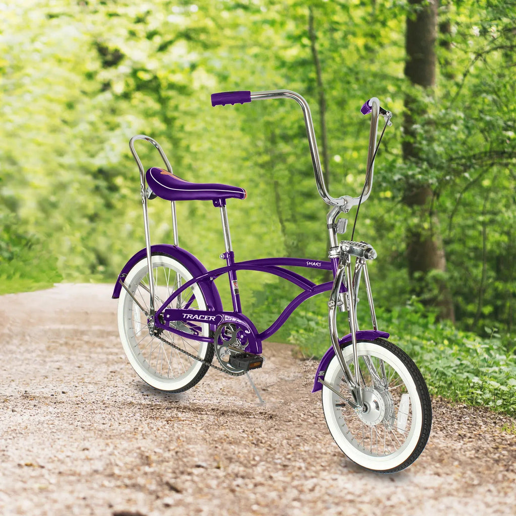 Lowrider Bike Long Frame Beach Cruiser Tracer Bikes, 20'' Lowrider Bicycle,  Hi-ten Steel Frame,