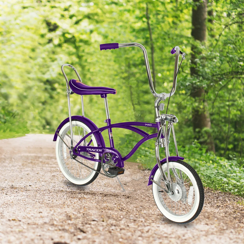 Tracer Smart Classic Lowrider Beach Cruiser Single Speed Bike Purple Forest View