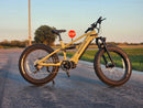 Velowave Brawny Model 1