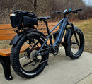 Velowave Brawny Model 6