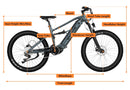 Velowave Forest SM Step Over Dimensions