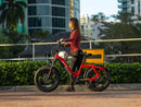 Velowave Pony Compact Step Thru Model 4