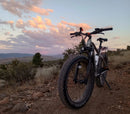 Velowave Ranger 3.0 Step Over Model 6