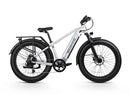 Velowave Ranger 3.0 Step Over Silver Right View