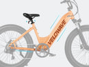 Velowave Rover Step Thru Frame