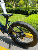 Velowave Rover Step Thru Model 5