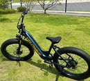 Velowave Rover Step Thru Model 8