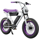 Macfox 500W X1S x Bs.zay Electric Bike