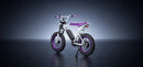 Macfox 500W X1S x Bs.zay Electric Bike