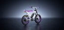 Macfox 500W X1S x Bs.zay Electric Bike