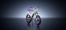 Macfox 500W X1S x Bs.zay Electric Bike