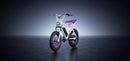 Macfox 500W X1S x Bs.zay Electric Bike