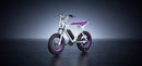 Macfox 500W X1S x Bs.zay Electric Bike