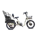 Emojo 500W Bull Urban Cruiser Step-Thru Electric Bike Trike