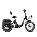 Addmotor 750W Triketan M-330F Electric Bike