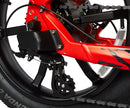 E-Joe 750W Collie Cargo Fat Tire Step-Thru Electric Bike