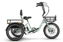 Emojo 500W Bull Urban Cruiser Step-Thru Electric Bike Trike
