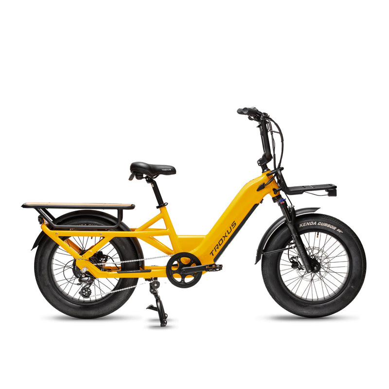 Troxus 750W Lynx Cargo Electric Bike
