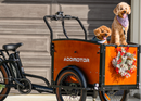 Addmotor 750W E-325 Cargo Electric Bike