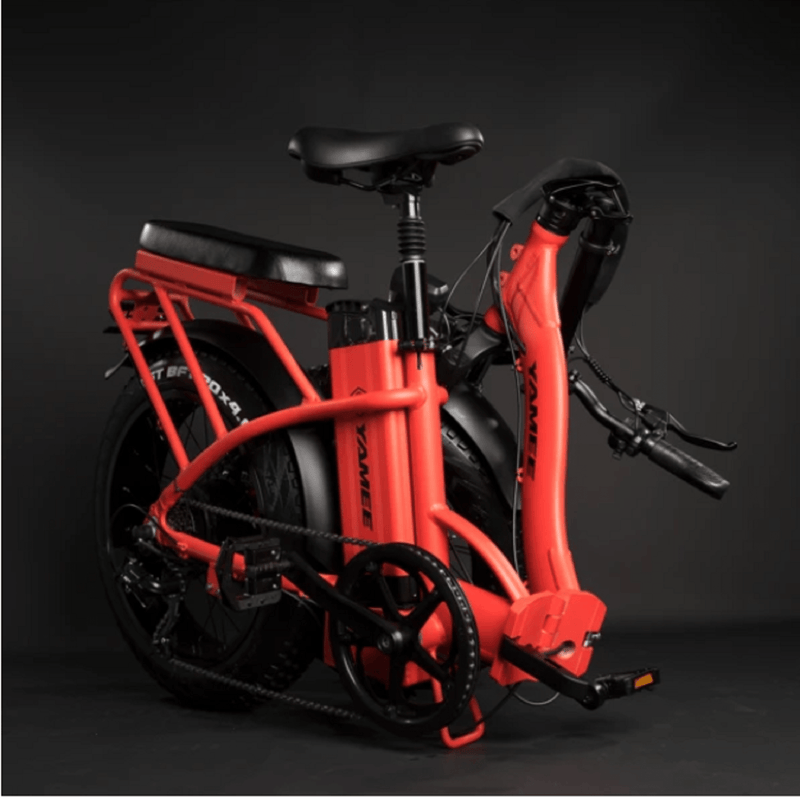 Electric Bike Rattan LF Fold