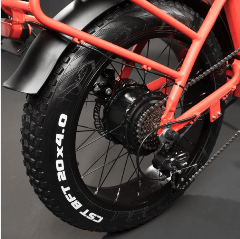 Electric Bike Rattan LF Tire
