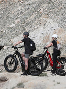 Troxus 750W Explorer Plus Step Thru Electric Bike