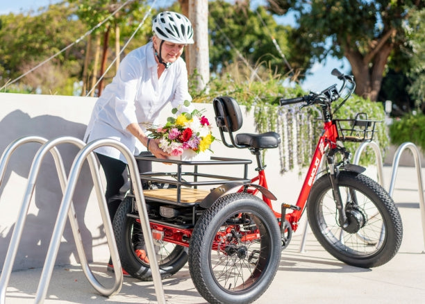 Emojo 500W Bull Urban Cruiser Step-Thru Electric Bike Trike