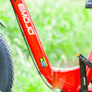 Emojo 750W Bison Pro Urban Cruiser Electric Bike