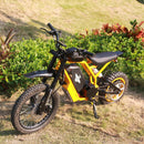 Freego n Ebike Freego Nova 2 Mid Drive Dirt Bike City Left View 2