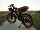 Isinwheel 1000W R6 13Ah Retro Moped Electric Bike