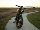 Isinwheel 1000W R6 13Ah Retro Moped Electric Bike