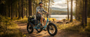 Addmotor 750W/15Ah Landtan All Terrain Electric Trike