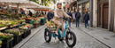 Addmotor 750W/15Ah Landtan All Terrain Electric Trike