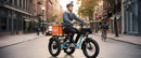 Addmotor 750W/15Ah Landtan All Terrain Electric Trike