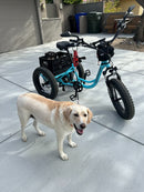 Addmotor 750W/15Ah Landtan All Terrain Electric Trike
