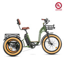 Addmotor 750W 48V Grandtan M-340 Trike Electric Bike