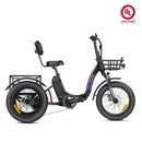 Addmotor 750W Triketan M-330F Rear Electric Bike