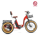 Addmotor 750W 48V Grandtan M-340 Trike Electric Bike
