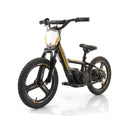 Voltaic 350W Kids 16'' Lion Pro Electric Dirt Bike