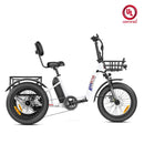 Addmotor 750W Triketan M-330F Rear Electric Bike