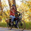 Wildsyde 750W Best 20Ah Retro Cruiser  Electric Bike
