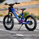Voltaic 750W Flying Fox 48V Youth  20''  Electric Dirt Bike