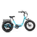 Addmotor 750W/15Ah Landtan All Terrain Electric Trike